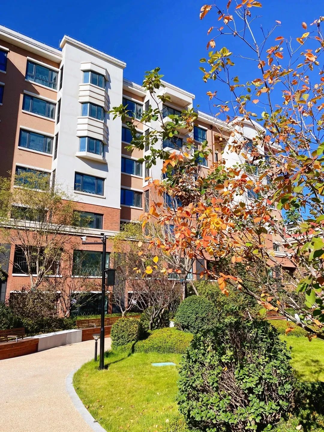 悅享數(shù)字牽手新華家園·頤享社區(qū)(圖11) 3.5.jpg